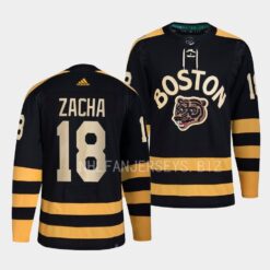 Boston Bruins Pavel Zacha 2023 Winter Classic Black Jersey