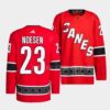 Carolina Hurricanes Stefan Noesen Gray Jersey