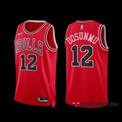 Chicago Bulls Ayo Dosunmu 2022-23 Red Icon Edition Jersey