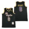 Los Angeles Lakers 8 Kobe Bryant Hall of Fame Purple Throwback Jersey